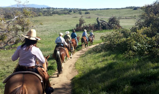 A group of equestrians enjoying one of the many multi-purpose trails in the area